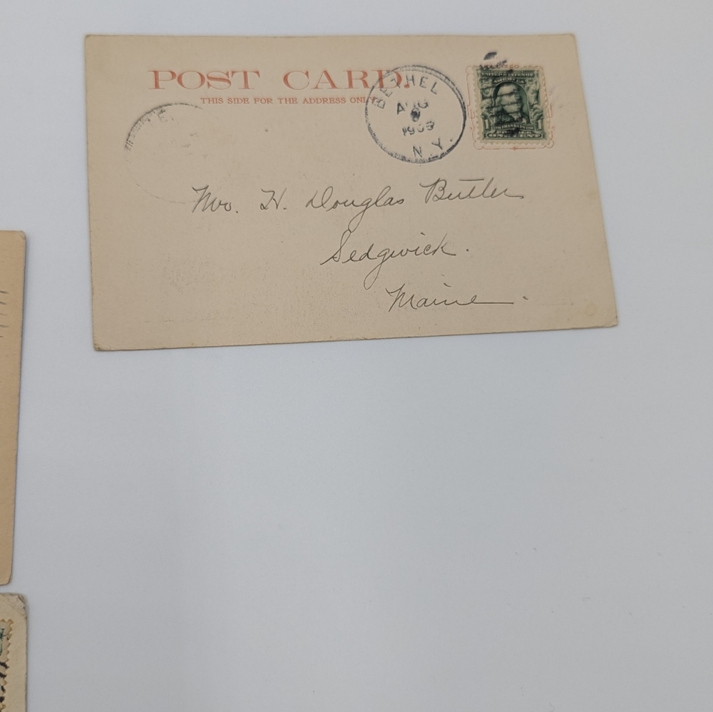 Antique New York Postcard Collection - Picture 11 of 11